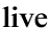 live